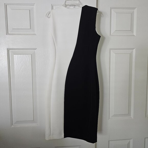 Calvin Klein Sleeveless Colorblock Sheath Dress - Picture 3 of 7